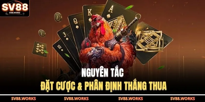 Nguyên tắc đặt cược & phân định thắng thua